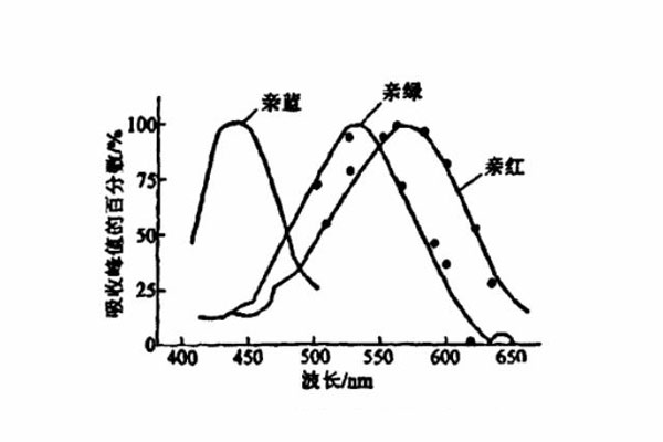 視網(wǎng)膜不同錐體細(xì)胞的吸收光譜曲線