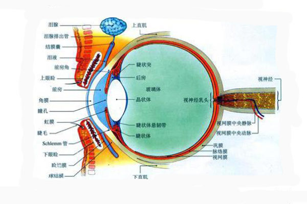 顏色是怎么被人眼感知的？顏色怎么表示與復(fù)現(xiàn)？